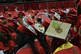 Mahalo, mom and dad. Grad cap with pineapple. Mahalo, mom and dad. Grad cap with pineapple.